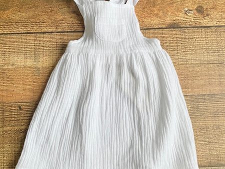 Harbour White Gauze Cotton Dress NWT- Size 12-18M Online Hot Sale