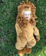 InCharacter Lil  Lion Costume- Size 6-12M Online now