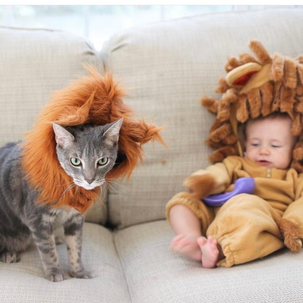 InCharacter Lil  Lion Costume- Size 6-12M Online now